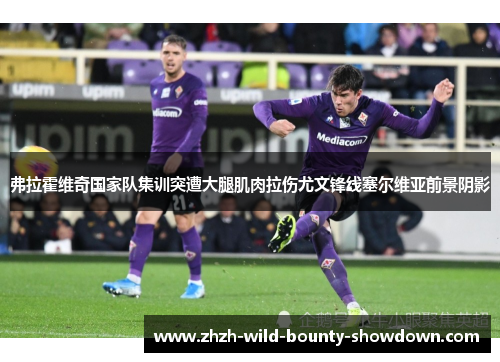 弗拉霍维奇国家队集训突遭大腿肌肉拉伤尤文锋线塞尔维亚前景阴影 弗拉霍维奇国家队集训突遭大腿肌肉拉伤尤文锋线塞尔维亚前景阴影